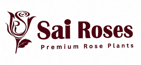 Sai Roses