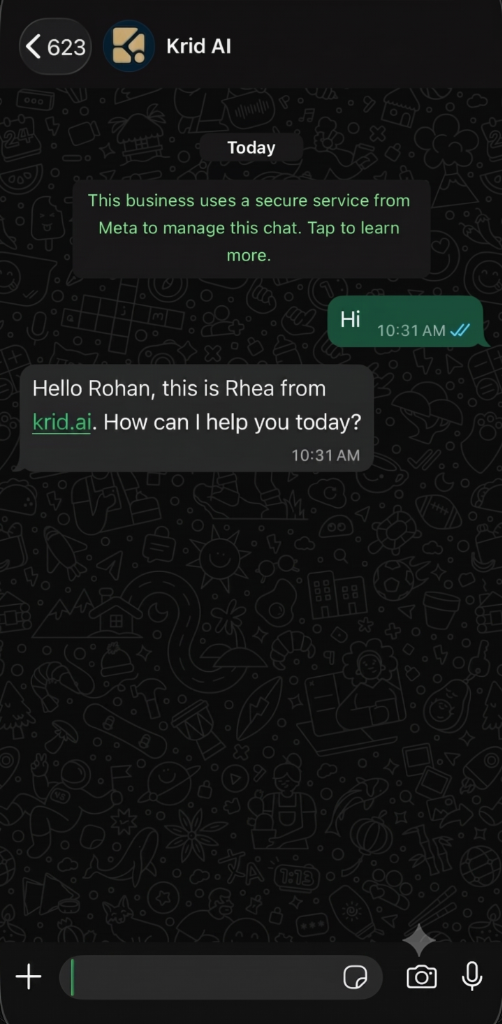 Krid AI WhatsApp Chat Conversation