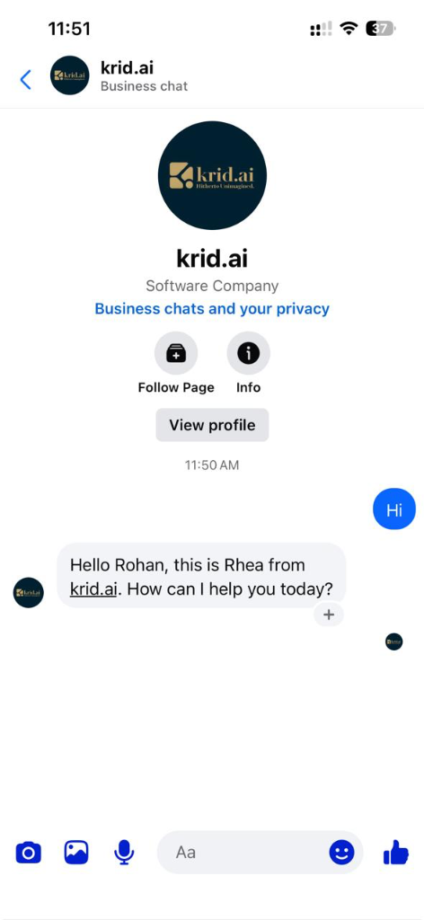 Facebook Messenger Business Chat
